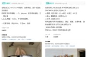 天天农历闲鱼：LABUBU搜索量环比上涨1000%，供不应求下现租赁新形式
