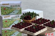 天天农历高速赋能产业升级：一条“杨梅路”的致富密码